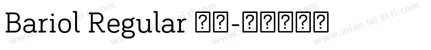Bariol Regular 常规字体转换